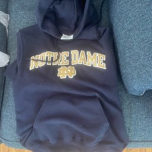 Champion Notre Dame hoodie
